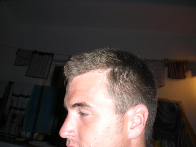 Speckfress am Abend von der Seite